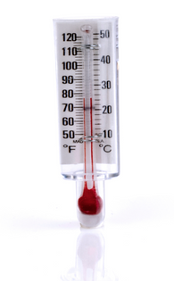 Teleflex Temperature Monitoring Thermometer